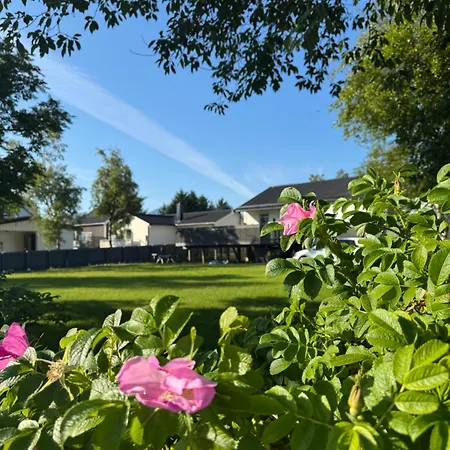 Downtown - Adventure In Lofoten - Free Parking - Airport 5 Min Lejlighed