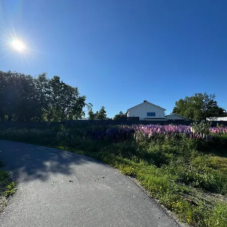 Downtown - Adventure In Lofoten - Free Parking - Airport 5 Min Lejlighed